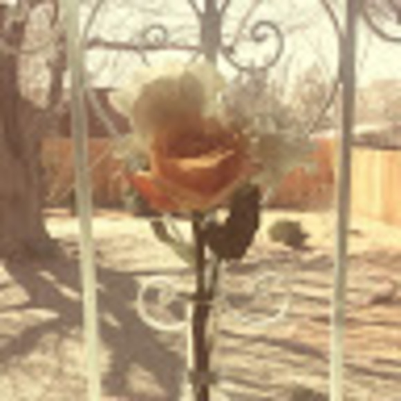 Meet your Posher, Beth - Picture 1 of 1